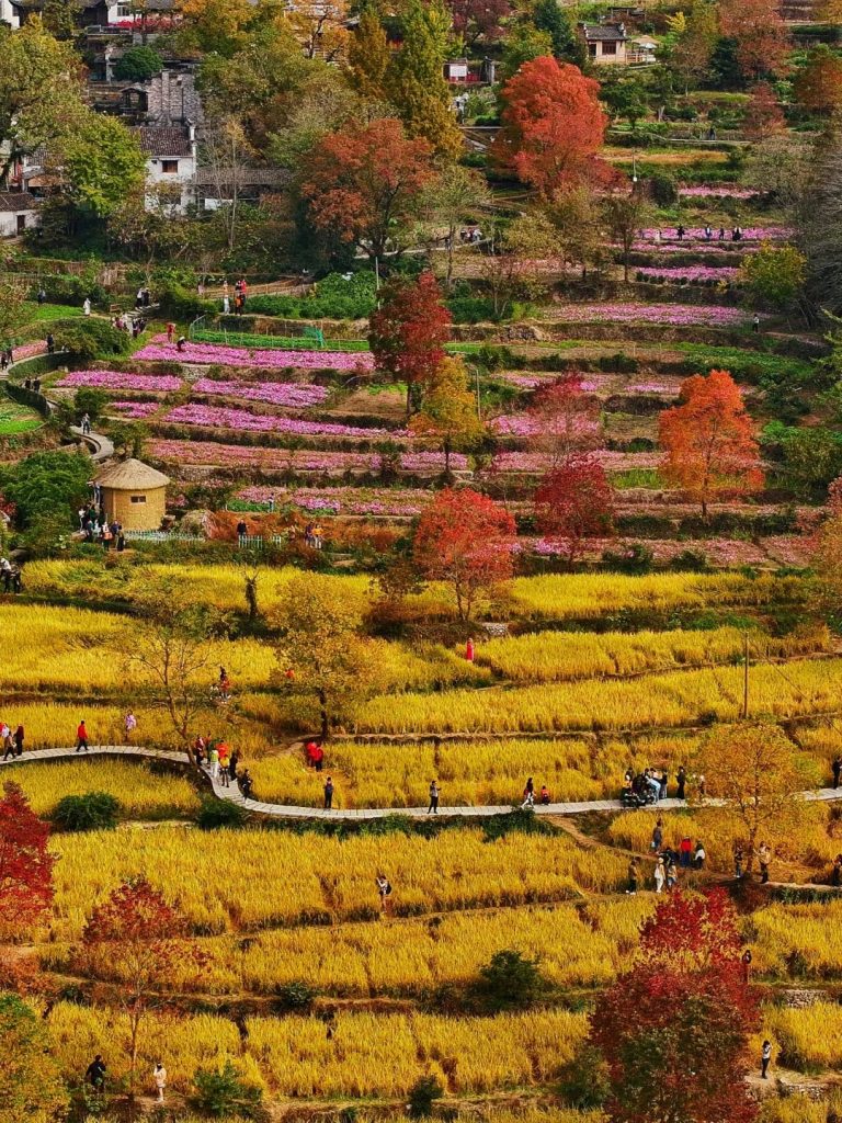 D2 – THÁP XUYÊN
