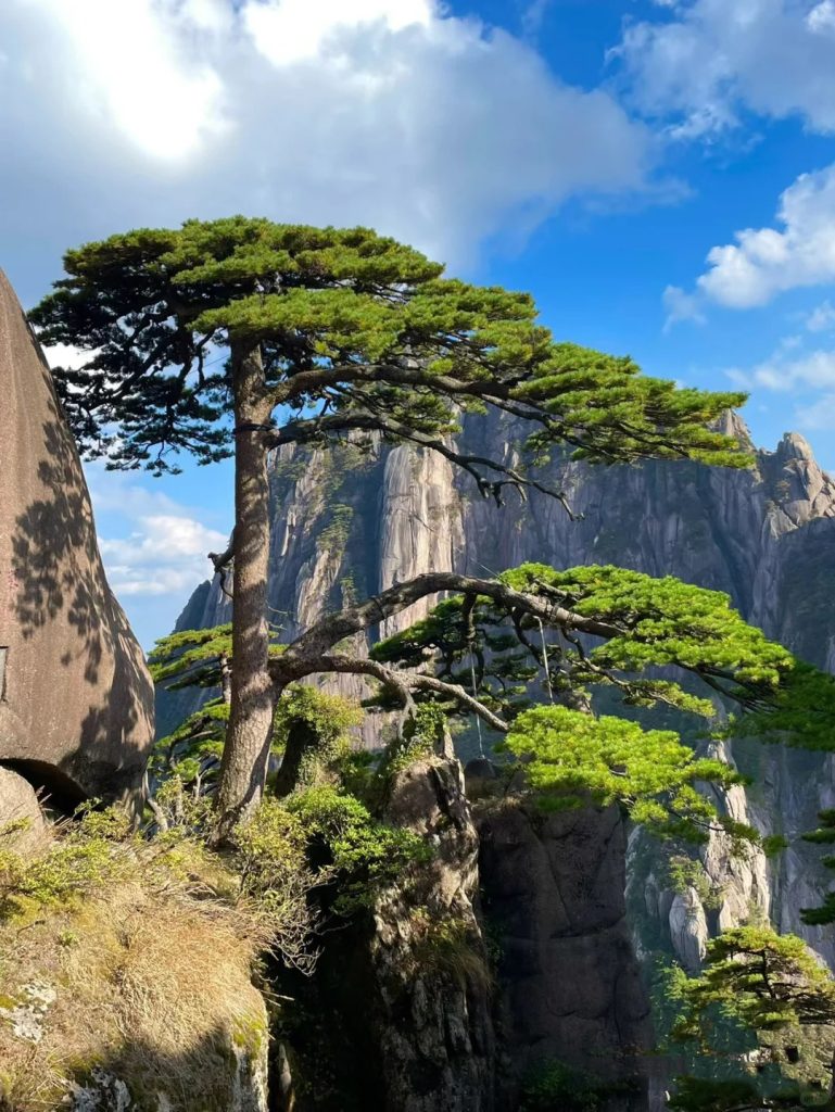 D3- NGHÊNH KHÁCH TÙNG