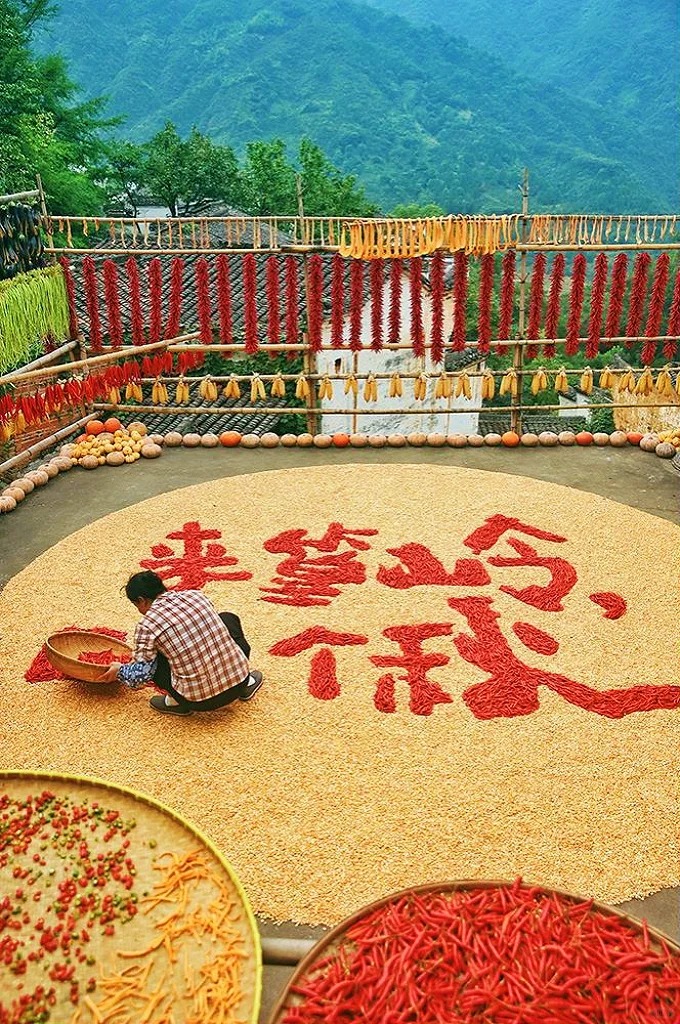 D4- VỤ NGUYÊN HOÀNG LĨNH