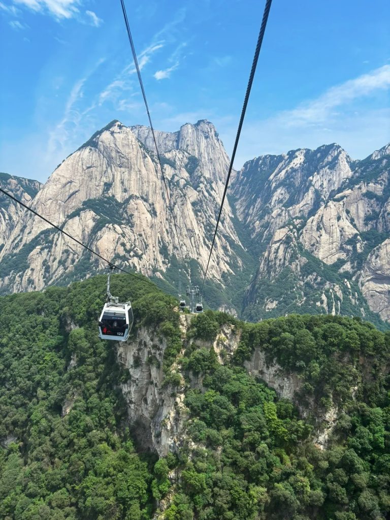 D3- CÁP TREO HOA SƠN