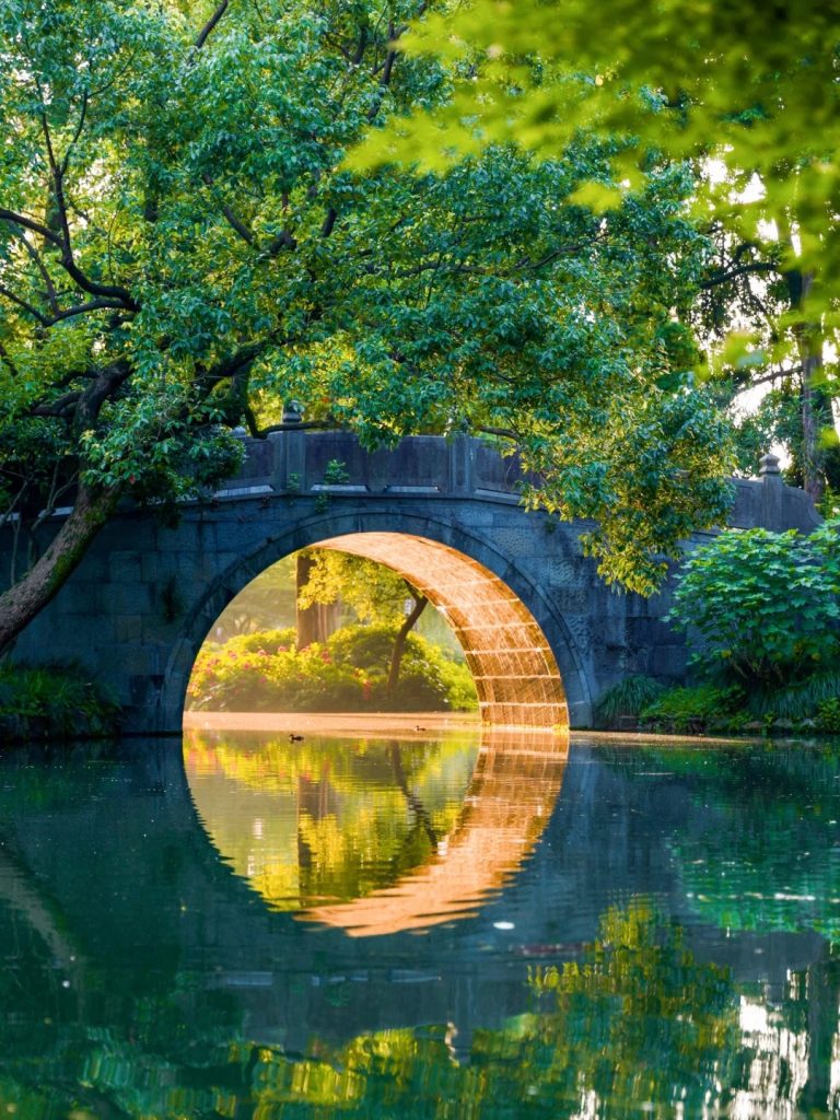 杭州人没骗我！曲院风荷的金光穿洞美到失语！_1_刚好在旅行_来自小红书网页版