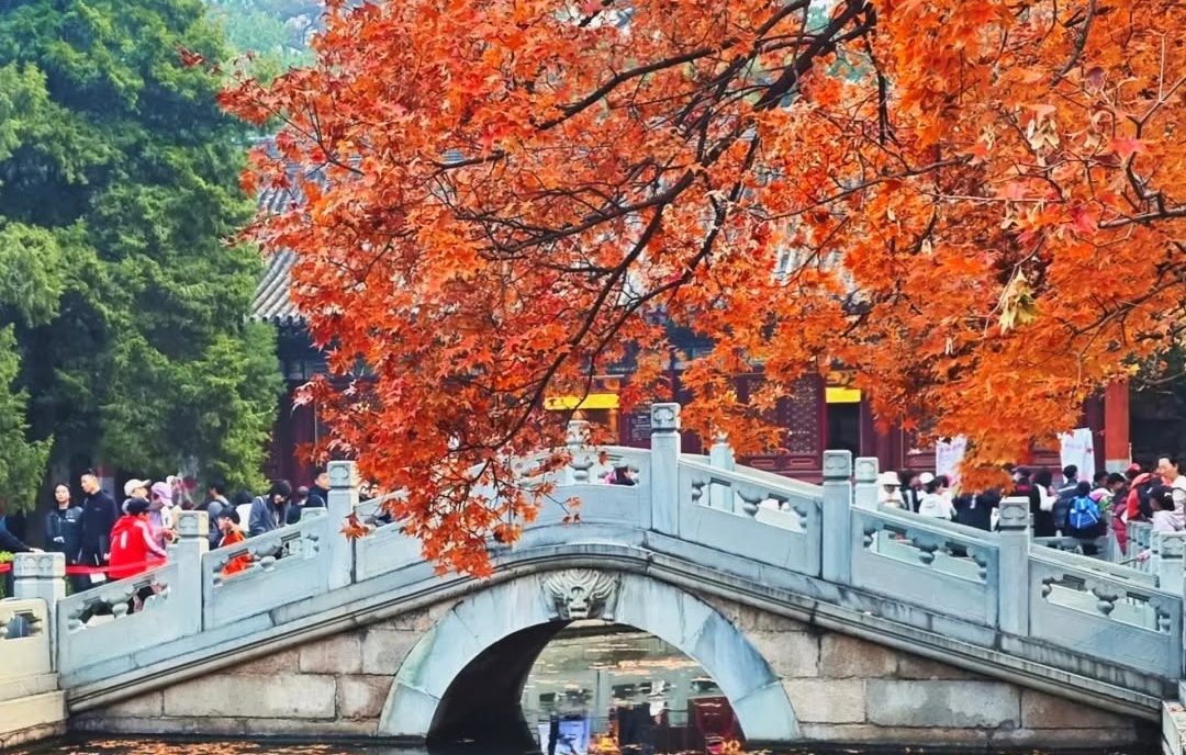 Bay về Hồ Chí Minh